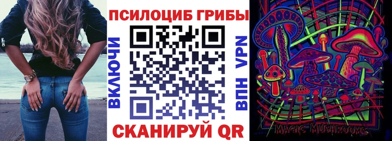 Псилоцибиновые грибы ЛСД Новоалександровск