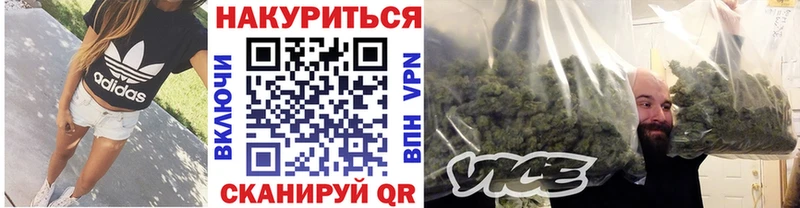 как найти наркотики  Новоалександровск  Конопля планчик 